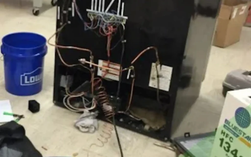 Technician repairing a refrigerator in a Cape Town home